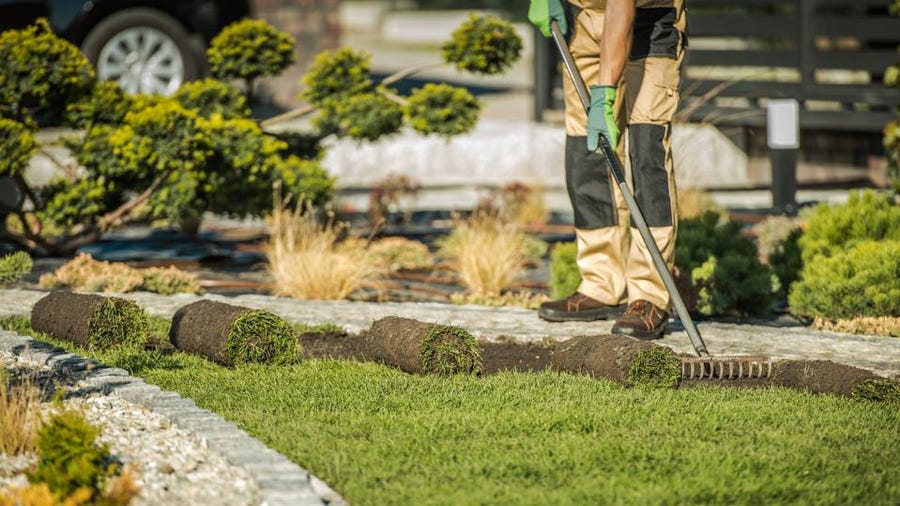 Before Hiring a Pro Landscaper: What You Need to Know