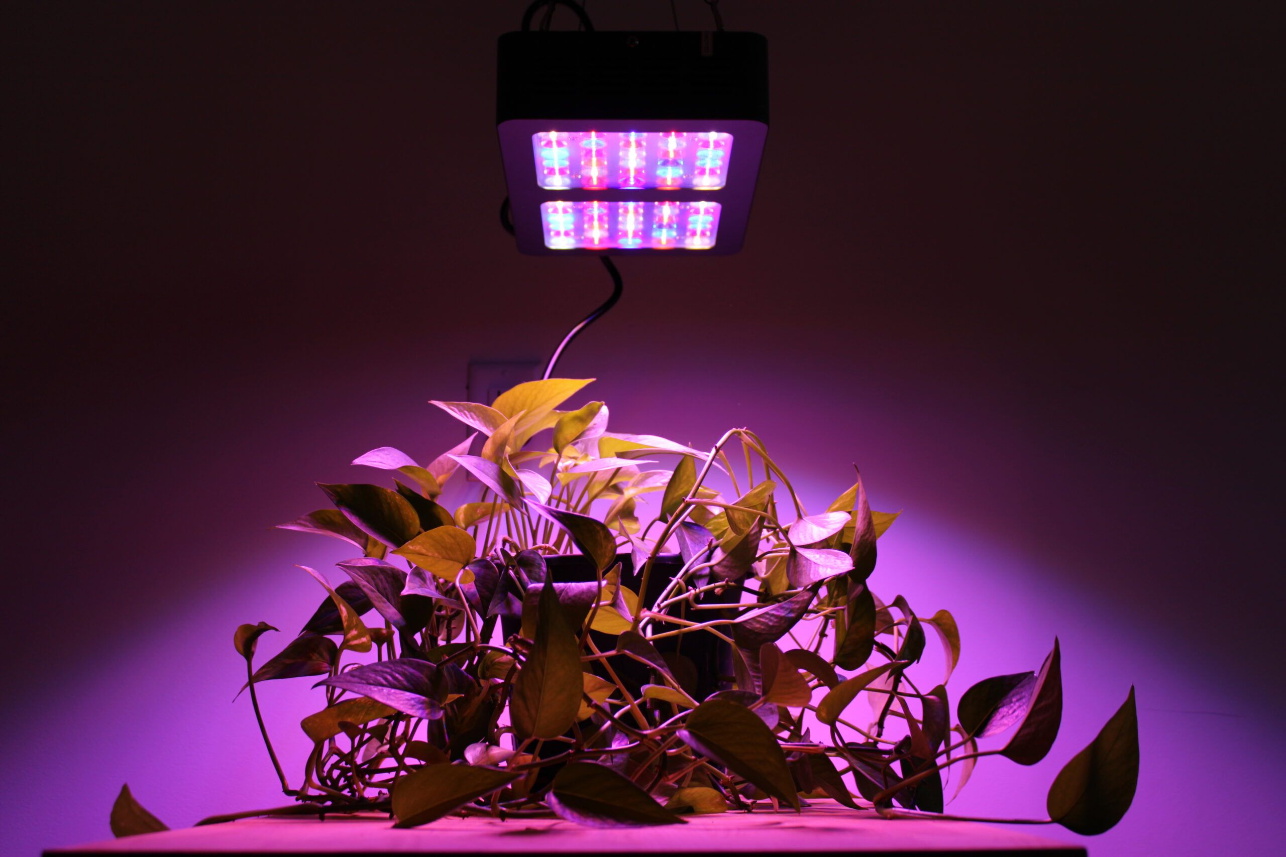 LED Grow Light Advantages
