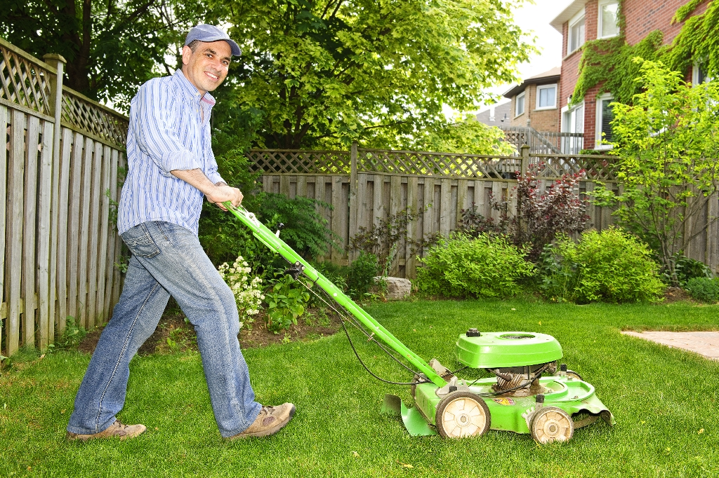 Important Reasons Why You Need to Hire Lawn Services